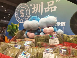 圳品來(lái)襲 供深食品銷售火爆，龍崗人搶購(gòu)指南